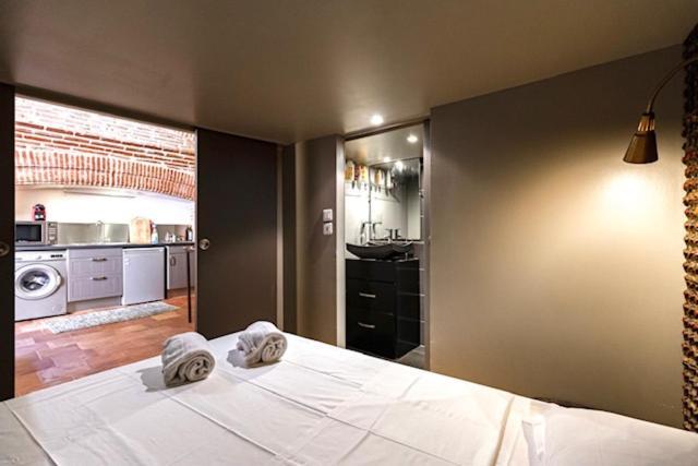 Duplex Climatise Dans Un Monument Historique Apartment Toulouse Bagian luar foto